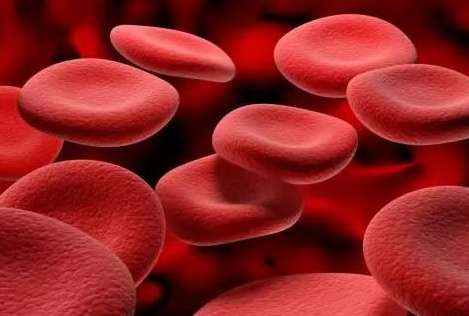 医用最新91视频网站厂家介绍铁元素的作用 医用最新91视频网站厂家介绍铁元素的作用