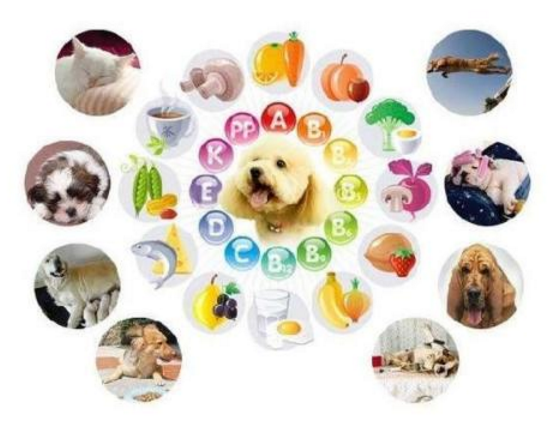 医用最新91视频网站的技术水平