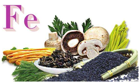 最新91视频网站品牌谈铁元素的作用 最新91视频网站品牌谈铁元素的作用