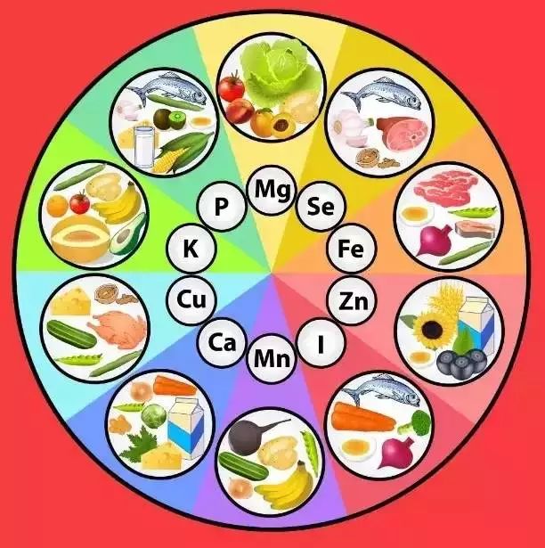 91视频一区二区三区之定期检查微量元素的必要性