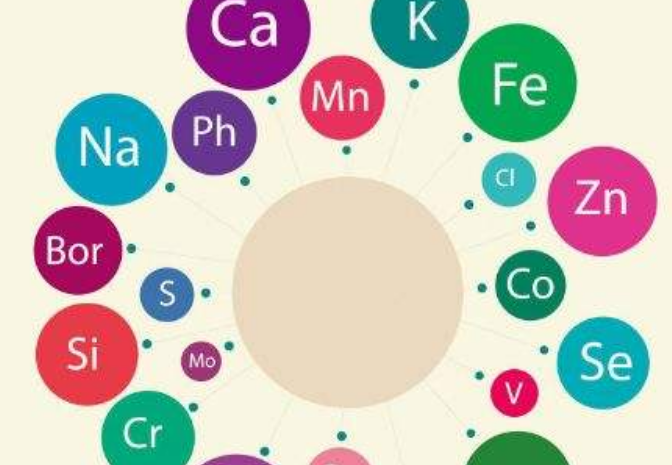 最新91视频网站厂家告诉你人体需要额外补充微量元素吗